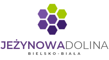 bliźniaki na jeżynowej bielsko